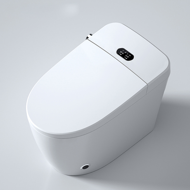 Modern Smart Toilet Digital Di - đánh giá và giá Home Bathroom Ware