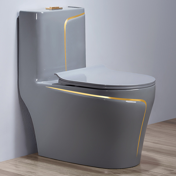 Grey Ceramic One Piece Bidet T - đánh giá và giá Home Bathroom Ware