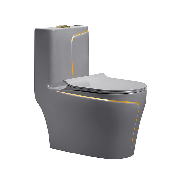 Grey Ceramic One Piece Bidet T - đánh giá và giá Home Bathroom Ware