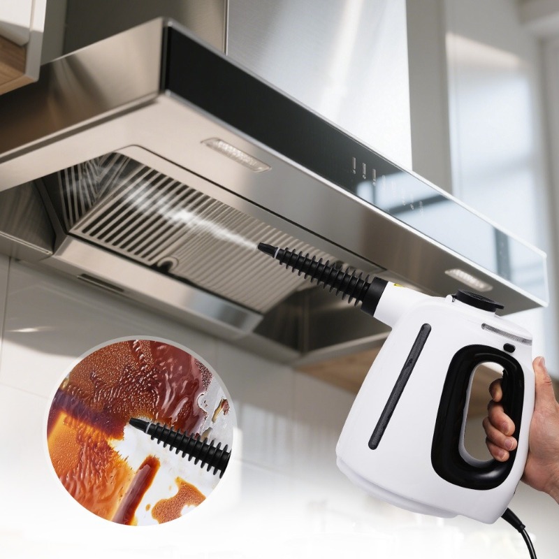 Multifunctional Handheld Steam - đánh giá và giá Home Kitchen Bathroom Cleaning