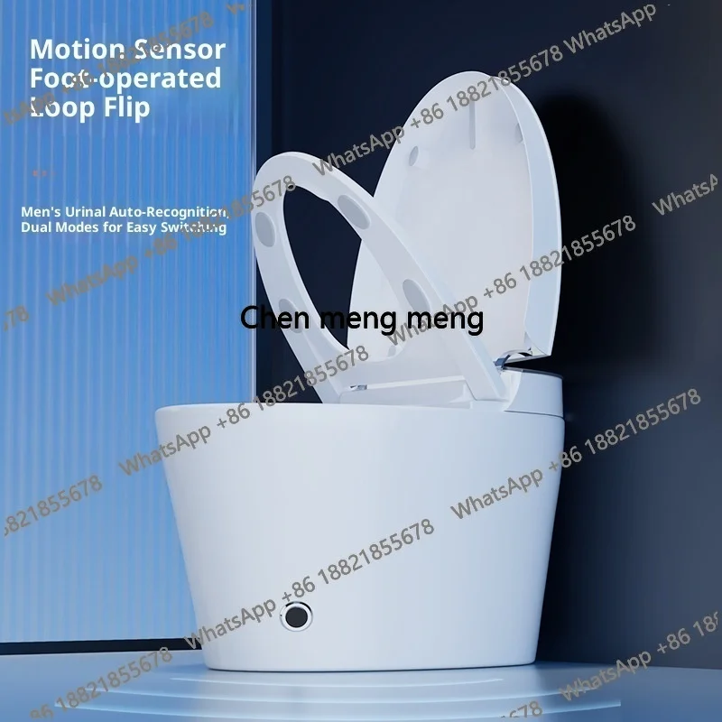 Z0189High End Automatic Flush  - đánh giá và giá Home Bathroom Ware