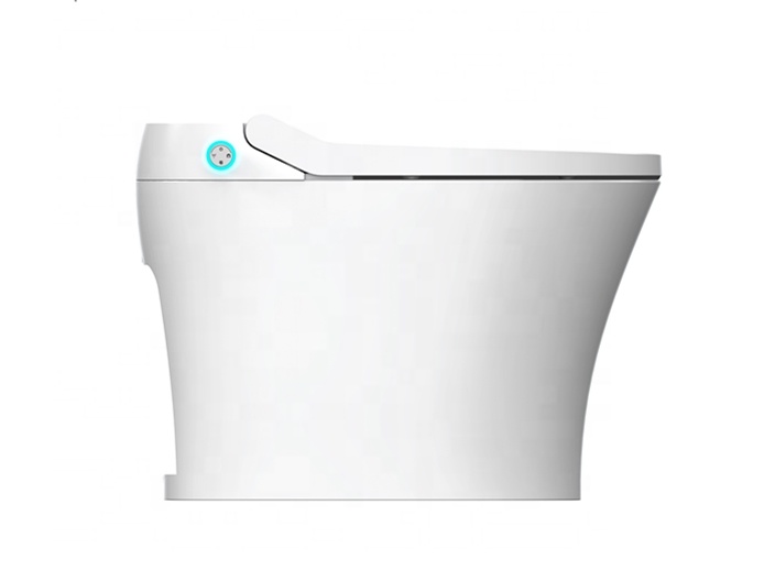 Easy Installation Electric Bid - đánh giá và giá Home Bathroom Ware