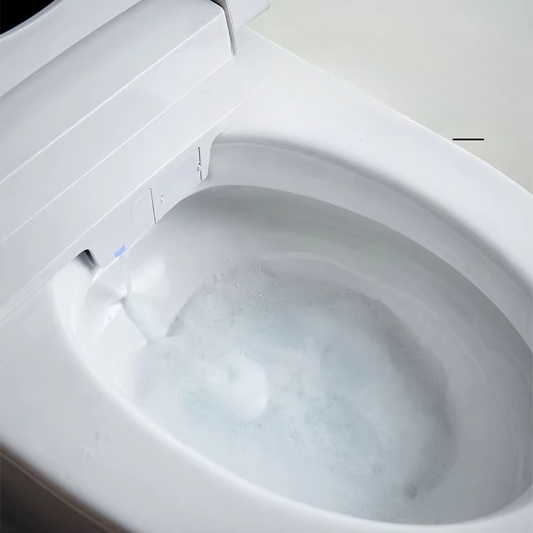 Best Quality Elongated Home Ho - đánh giá và giá Home Bathroom Ware
