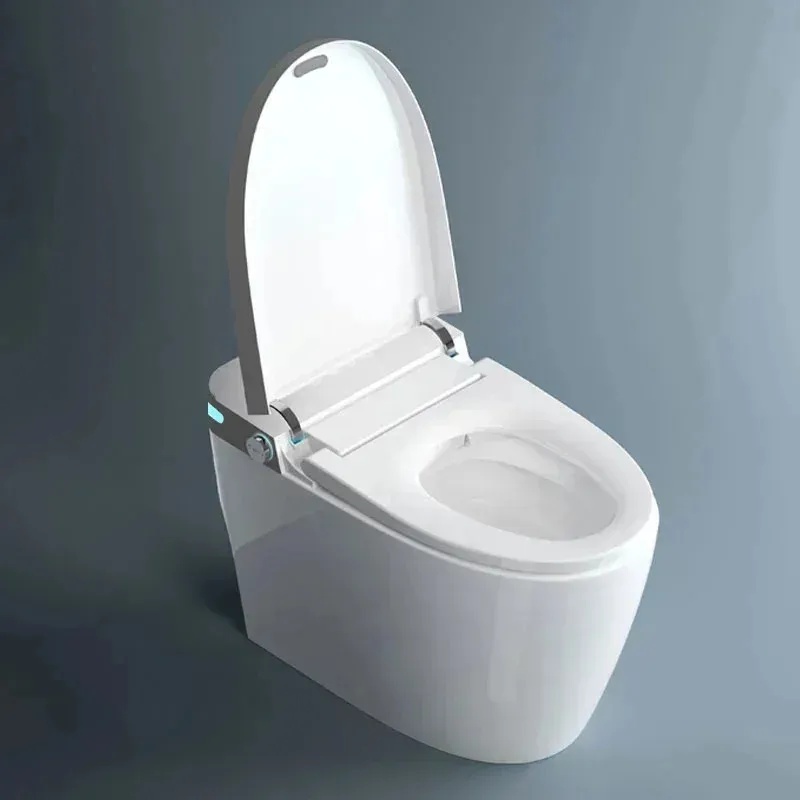 Bồn cầu thông minh hiện đại 20 - đánh giá và giá Home Bathroom Ware